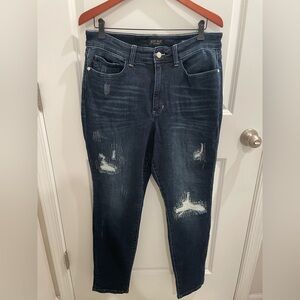 Judy Blue Boyfriend Fit Jeans Denim Plus Size 16W